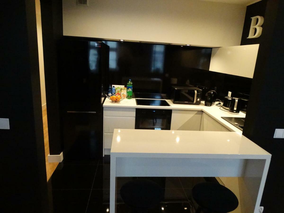 Black&White Apartment- Wierzbowa 5 ポズナン エクステリア 写真
